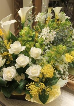 **ミモザ**｜「ハマフローリスト」　（神奈川県横浜市西区の花キューピット加盟店 花屋）のブログ